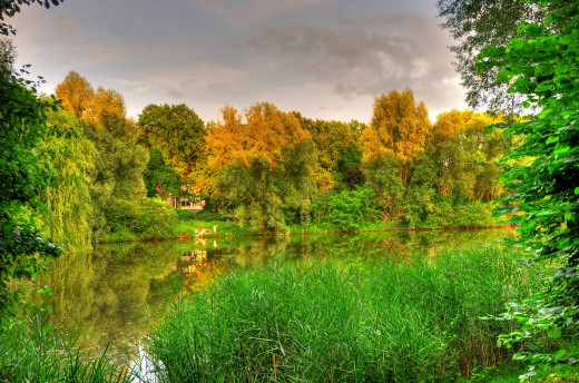 652947 (a): :2740x1810
